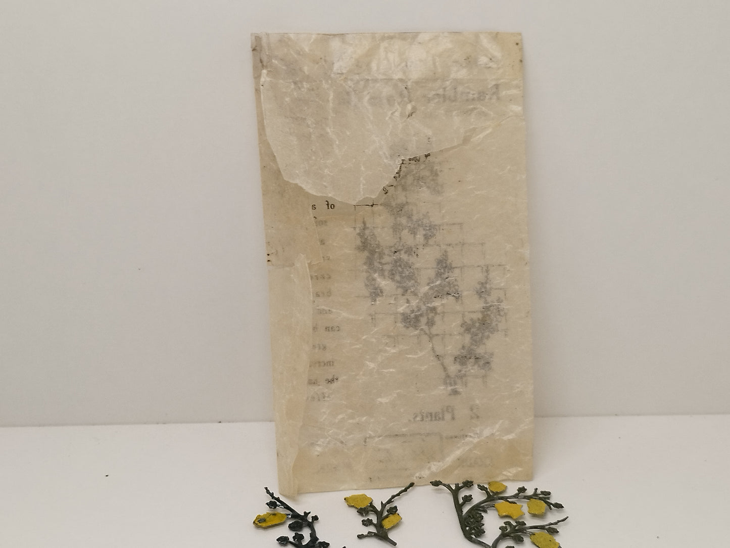 Britains Pre-War Floral Garden Wax Packet Rambler Rose No019 - Yellow