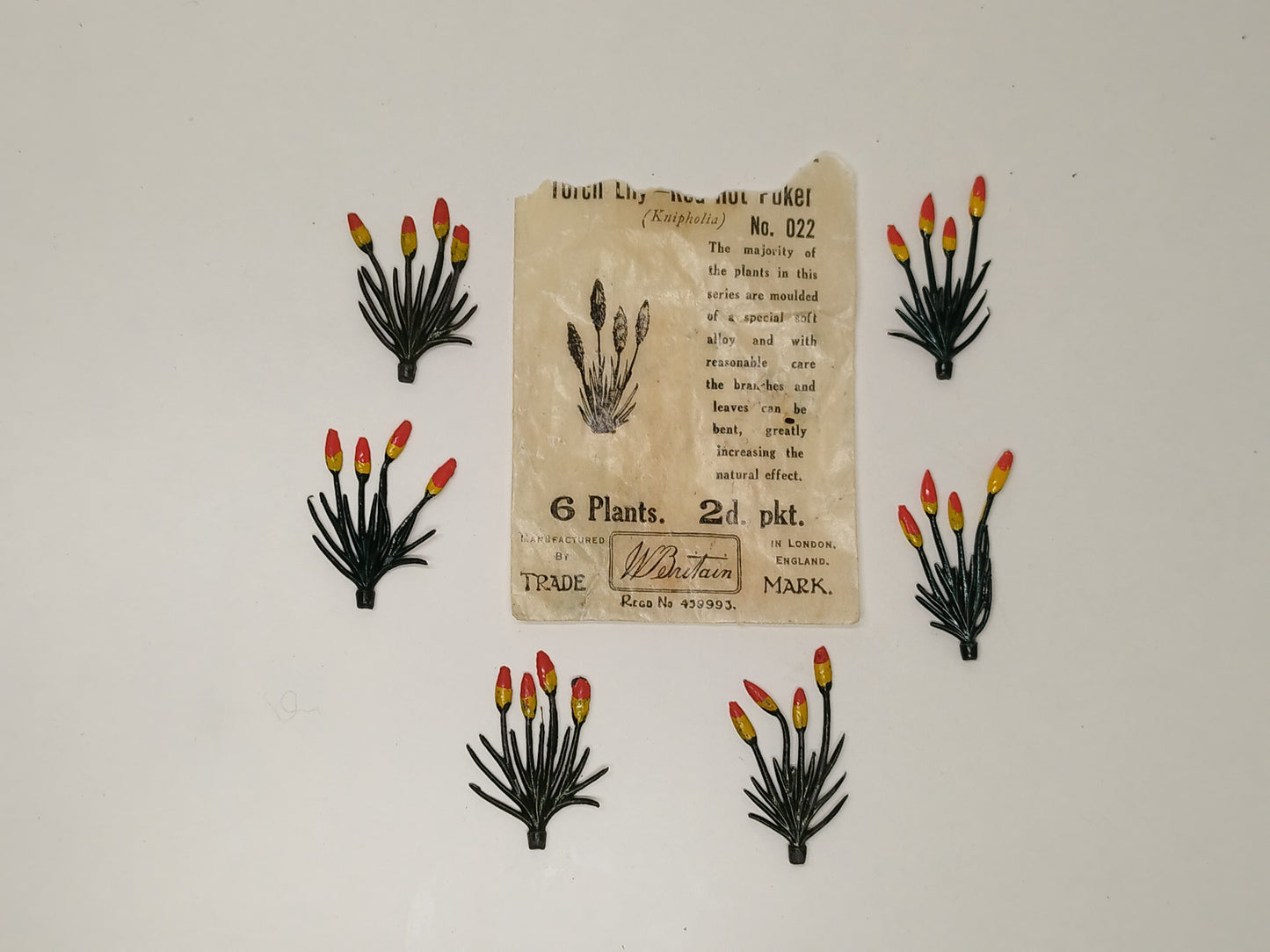 Britains Pre-War Floral Garden Wax Packet Torch Lily / Red Hot Poker No022