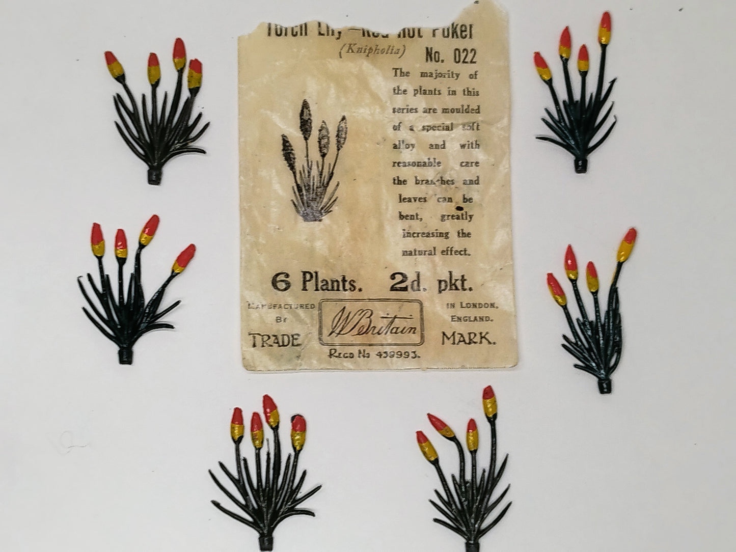 Britains Pre-War Floral Garden Wax Packet Torch Lily / Red Hot Poker No022